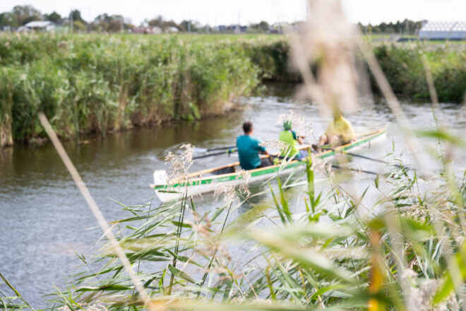 De roeimarathons van juni: de RijnIJssel, Rotte, Noord Holland, Haegsche Bluf en Tromp
